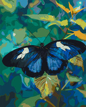 Laden Sie das Bild in den Galerie-Viewer, Malen nach Zahlen Figured'Art – Heliconius Cydno Schmetterling