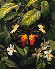 Laden Sie das Bild in den Galerie-Viewer, Malen nach Zahlen Figured'Art – Heliconius Erato Schmetterling