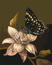 Laden Sie das Bild in den Galerie-Viewer, Malen nach Zahlen Figured'Art – Mormonen-Schmetterling und Blume