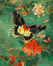 Laden Sie das Bild in den Galerie-Viewer, Malen nach Zahlen Figured'Art – Troide Minos Schmetterling
