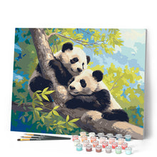 Laden Sie das Bild in den Galerie-Viewer, Pandas auf einem Ast