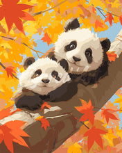 Laden Sie das Bild in den Galerie-Viewer, Malen nach Zahlen Figured'Art – Pandababys im Herbst