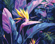 Laden Sie das Bild in den Galerie-Viewer, Malen nach Zahlen Figured'Art – Paradiesvogel