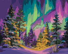 Laden Sie das Bild in den Galerie-Viewer, Malen nach Zahlen Figured'Art – Aurora Polarwald
