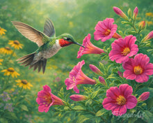 Laden Sie das Bild in den Galerie-Viewer, Malen nach Zahlen Figured'Art – Flatternder Kolibri