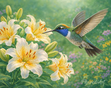 Laden Sie das Bild in den Galerie-Viewer, Malen nach Zahlen Figured'Art – Kolibri in Blüte 1