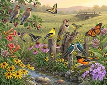Laden Sie das Bild in den Galerie-Viewer, Malen nach Zahlen Figured'Art – Harmonie der Wildblumen