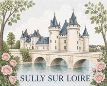 Laden Sie das Bild in den Galerie-Viewer, Malen nach Zahlen Figured'Art – Schloss Sully-sur-Loire