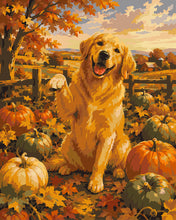 Laden Sie das Bild in den Galerie-Viewer, Malen nach Zahlen Figured'Art – Golden Retriever im Kürbisfeld