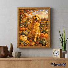Laden Sie das Bild in den Galerie-Viewer, Golden Retriever im Kürbisfeld