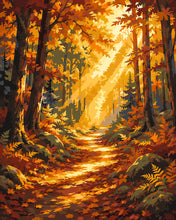 Laden Sie das Bild in den Galerie-Viewer, Malen nach Zahlen Figured'Art – Waldweg mit Sonnenstrahlen