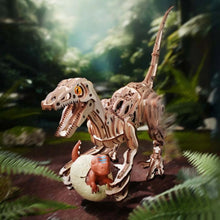 Laden Sie das Bild in den Galerie-Viewer, 3D Puzzle - Velociraptor Figured'Art
