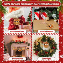 Laden Sie das Bild in den Galerie-Viewer, Malen nach Zahlen Weihnachtsdekoration - Kit Weihnachtswald-Freunde