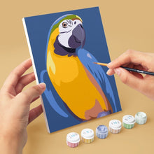 Laden Sie das Bild in den Galerie-Viewer, Mini Malen nach Zahlen 15x20 cm (6 Stück) - Tropische Federn