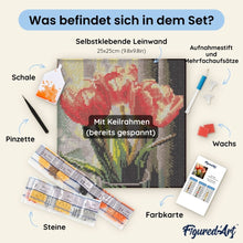 Laden Sie das Bild in den Galerie-Viewer, Mini Diamond Painting 25 x 25 cm - Schöne Blondine Pop Art
