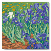 Laden Sie das Bild in den Galerie-Viewer, Mini Malen nach Zahlen mit Rahmen - Van Gogh - Iris