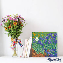 Laden Sie das Bild in den Galerie-Viewer, Mini Malen nach Zahlen mit Rahmen - Van Gogh - Iris