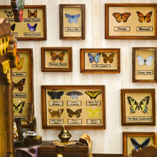 Laden Sie das Bild in den Galerie-Viewer, Book Nook - Schmetterlingshaus