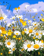 Laden Sie das Bild in den Galerie-Viewer, Gänseblümchen und blauer Himmel 2 | Figured'Art