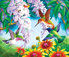 Laden Sie das Bild in den Galerie-Viewer, Malen nach Zahlen für Erwachsene | Vögel und Blumen | Figured'Art
