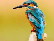 Laden Sie das Bild in den Galerie-Viewer, Malen nach Zahlen für Erwachsene | Vogel mit langem Schnabel | Figured'Art