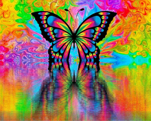 Laden Sie das Bild in den Galerie-Viewer, Malen nach Zahlen für Erwachsene | Reflexion Schmetterling | Figured'Art