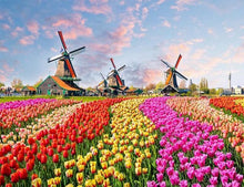 Laden Sie das Bild in den Galerie-Viewer, Malen nach Zahlen für Erwachsene | Mühlen und Blumen | Figured'Art