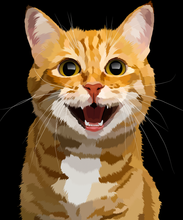 Laden Sie das Bild in den Galerie-Viewer, Malen nach Zahlen für Erwachsene | Lächelnde Katze | Figured'Art