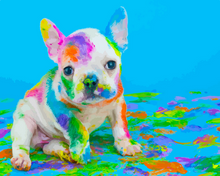 Laden Sie das Bild in den Galerie-Viewer, Malen nach Zahlen für Erwachsene | Malender Hund | Figured'Art