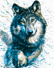 Laden Sie das Bild in den Galerie-Viewer, Malen nach Zahlen für Erwachsene | Blick des Wolfes | Figured'Art