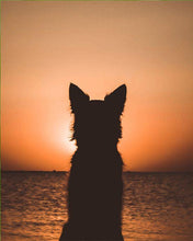 Laden Sie das Bild in den Galerie-Viewer, Malen nach Zahlen für Erwachsene | Hund mit Blick auf den Horizont | Figured'Art