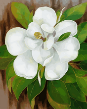 Laden Sie das Bild in den Galerie-Viewer, Malen nach Zahlen für Erwachsene | Weiße Blumen und grüne Blätter | Figured'Art