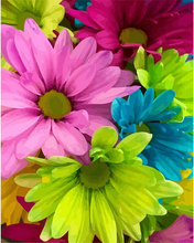 Laden Sie das Bild in den Galerie-Viewer, Malen nach Zahlen für Erwachsene | Blumen in verschiedenen Farben | Figured'Art