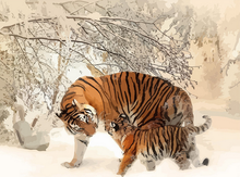 Laden Sie das Bild in den Galerie-Viewer, Malen nach Zahlen für Erwachsene | Tiger und ihr Junges im Schnee | Figured'Art
