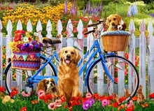 Laden Sie das Bild in den Galerie-Viewer, Malen nach Zahlen für Erwachsene | Hunde und Fahrräder | Figured'Art