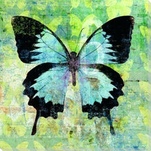 Laden Sie das Bild in den Galerie-Viewer, Malen nach Zahlen für Erwachsene | Grüner und schwarzer Schmetterling | Figured'Art