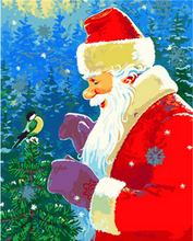 Laden Sie das Bild in den Galerie-Viewer, Malen nach Zahlen für Erwachsene | Weihnachtsmann und sein Vogel | Figured'Art