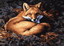 Laden Sie das Bild in den Galerie-Viewer, Malen nach Zahlen für Erwachsene | Schöner Fuchs | Figured'Art