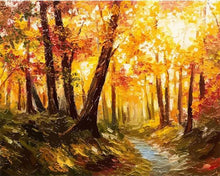 Laden Sie das Bild in den Galerie-Viewer, Malen nach Zahlen Erwachsene Licht im Wald Figured'Art
