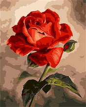 Laden Sie das Bild in den Galerie-Viewer, Malen nach Zahlen für Erwachsene | Schöne rote Rosen | Figured'Art