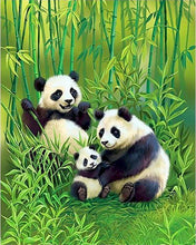 Laden Sie das Bild in den Galerie-Viewer, Malen nach Zahlen für Erwachsene | Pandafamilie | Figured'Art