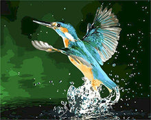 Laden Sie das Bild in den Galerie-Viewer, Malen nach Zahlen für Erwachsene | Eisvogel | Figured'Art