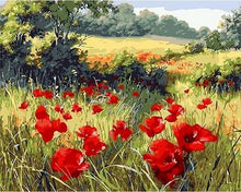 Laden Sie das Bild in den Galerie-Viewer, Malen nach Zahlen für Erwachsene | Blumen im Feld 3 | Figured'Art