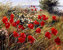 Laden Sie das Bild in den Galerie-Viewer, Malen nach Zahlen für Erwachsene | Blumen im Feld 2 | Figured'Art
