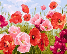 Laden Sie das Bild in den Galerie-Viewer, Malen nach Zahlen für Erwachsene | Rote Blumen 2 | Figured'Art