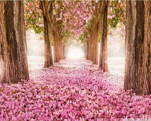 Laden Sie das Bild in den Galerie-Viewer, Malen nach Zahlen für Erwachsene | Weg im Frühling 2 | Figured'Art