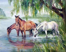Laden Sie das Bild in den Galerie-Viewer, Malen nach Zahlen für Erwachsene | Drei Pferde im Wasser | Figured'Art