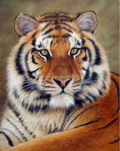 Laden Sie das Bild in den Galerie-Viewer, Malen nach Zahlen für Erwachsene | Fuchs und Tiger | Figured'Art