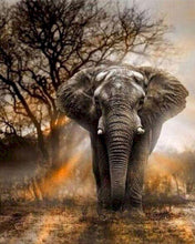 Laden Sie das Bild in den Galerie-Viewer, Malen nach Zahlen für Erwachsene | Einsamer Elefant | Figured'Art