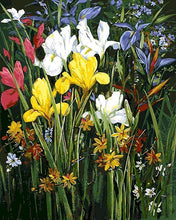 Laden Sie das Bild in den Galerie-Viewer, Malen nach Zahlen für Erwachsene | Zwischen den Blumen | Figured'Art